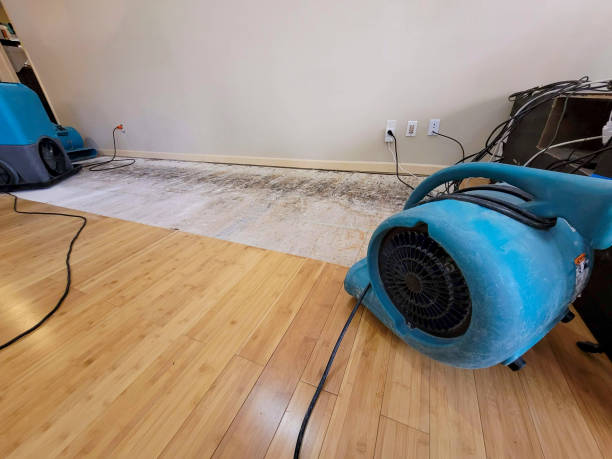 Professional Water Removal technician working in Albion, NY